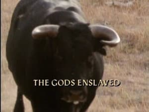 Episodio 2
