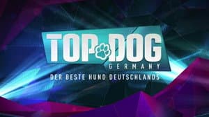 Top Dog Germany – Der beste Hund Deutschlands — foto 1
