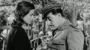 Totò e Carolina — foto 1