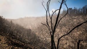 La tierra que arde — foto 1
