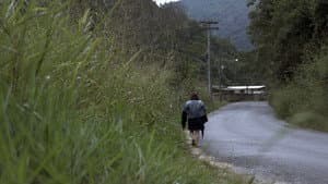 Cadelas — foto 4