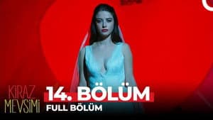 Episodio 14