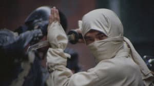 New York Ninja — foto 1