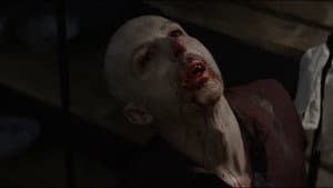 Vampir — foto 2