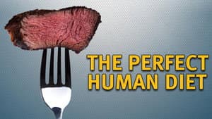 The Perfect Human Diet — foto 1