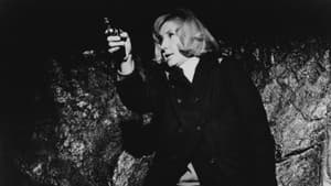 The Vulture — foto 1