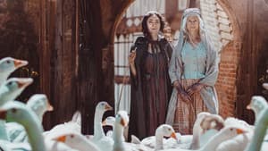 Die Gänseprinzessin — foto 1