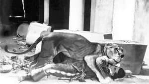 Le Golem — foto 2