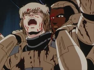 Episodio 29