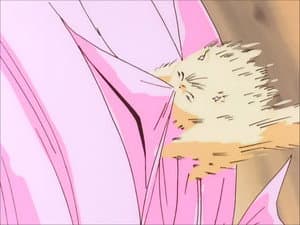 Episodio 13