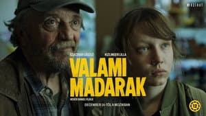 Valami madarak — foto 2