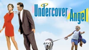 Undercover Angel — foto 2