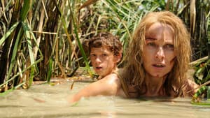 Lo Imposible — foto 9