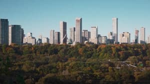 Forêts urbaines — foto 2