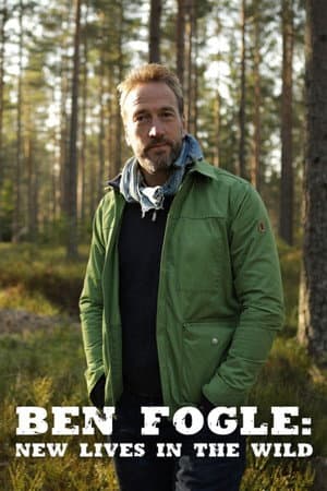Temporada 10