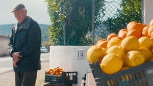 O Tempo De Comer Uma Laranja — foto 1