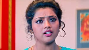 அவ்வை சண்முகி — foto 6
