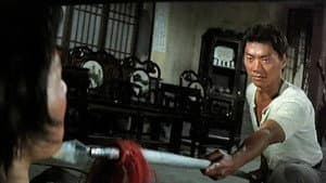Nan bei zui quan — foto 3