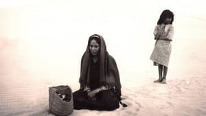 زهرة الرمال (Louss, Warda Al-Rimal) — foto 1