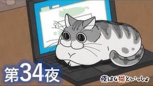 Episodio 34