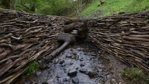 Leaning Into the Wind: Andy Goldsworthy — foto 6