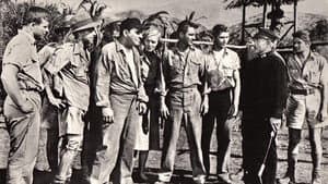 Battle of the Coral Sea — foto 2