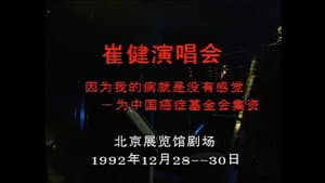 崔健92年北展演唱会 — foto 2