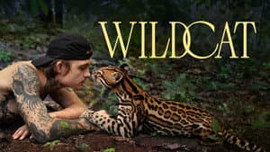 Wildcat — foto 12