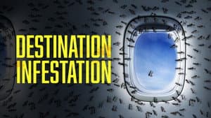 Destination: Infestation — foto 3