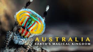 Magical Land of Oz — foto 2
