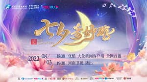 河南卫视七夕奇妙游 — foto 1