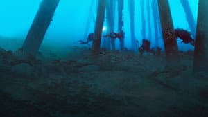 Reef Wrecks — foto 2