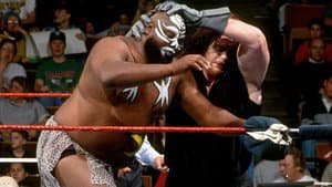 WWE Survivor Series 1992 — foto 4