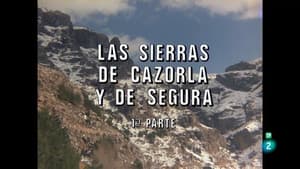 Episodio 79