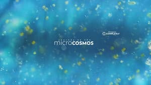 Journey to the Microcosmos — foto 5