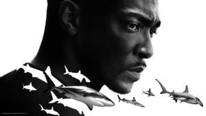 Shark Beach with Anthony Mackie — foto 7