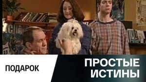 Episodio 282