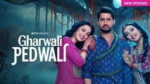 Gharwali Pedwali — foto 2