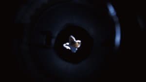 Disposal — foto 1