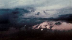 RARA — foto 2