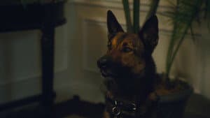 Max 2 El Heroe De La Casa Blanca — foto 3