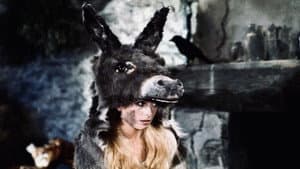 Piel de burro — foto 10