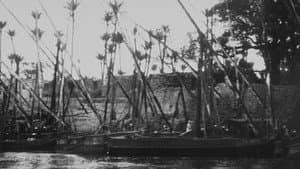 Panorama des rives du Nil, [II] — foto 1