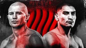 Serhii Bohachuk vs. Vergil Ortiz Jr. — foto 2