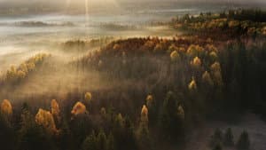 România Sălbatică — foto 1