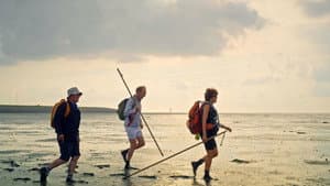 Langs de Kust — foto 1