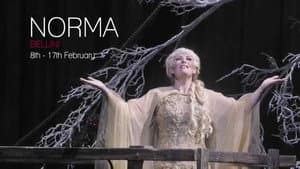 Bellini: Norma — foto 1