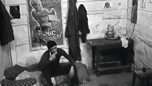 وشمة — foto 1