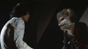 狼の紋章 — foto 1