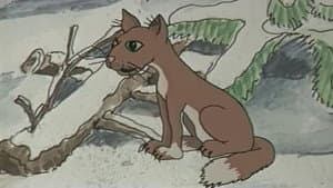 Peter und der Wolf — foto 4